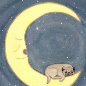 Meet your Posher, Rena